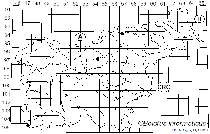 <i>Ectoedemia spinosella</i> Joannis (1908)