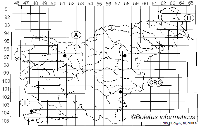 <i>Russula tinctipes</i> J. Blum ex Bon (1986)