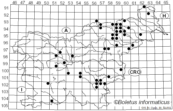 <i>Scleroderma cepa</i> Pers. (1801)