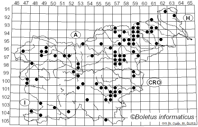 <i>Cortinarius brunneus</i> (Pers.) Fr. (1838)