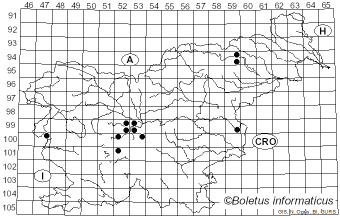 <i>Psathyrella subnuda</i> (P. Karst.) A.H. Sm. (1941)