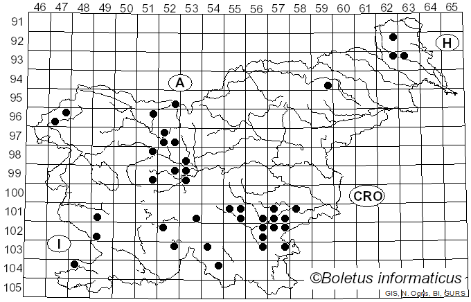 <i>Tyromyces chioneus</i> (Fr.) P. Karst. (1881)