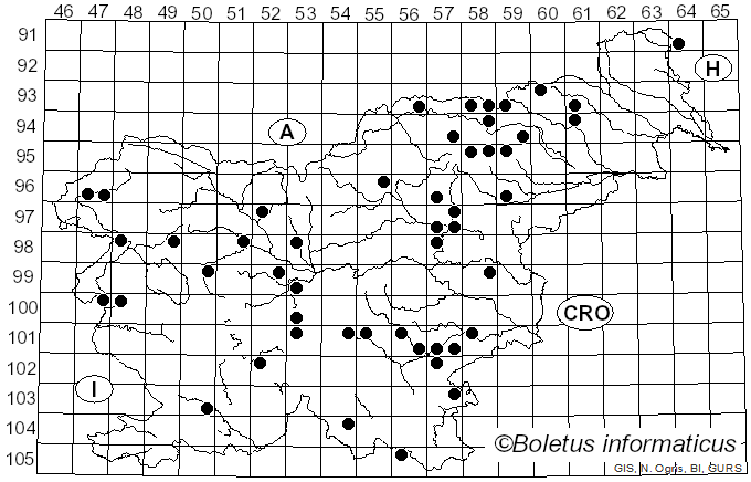 <i>Russula anthracina</i> Romagn. (1962)