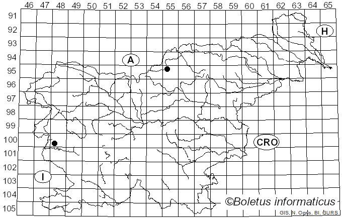 <i>Puccinia prenanthis-purpureae</i> (DC.) Lindr. (1901)