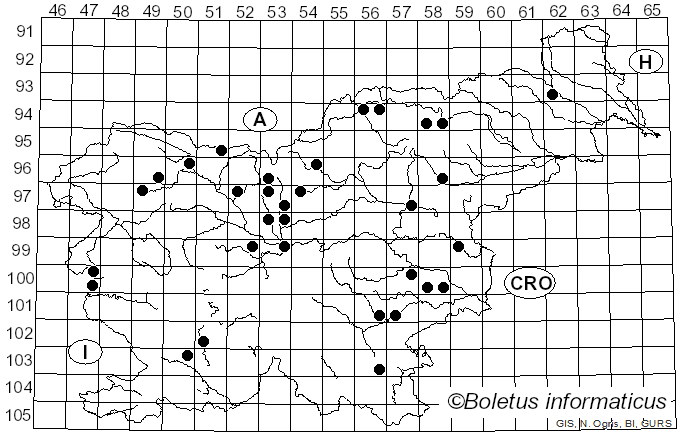 <i>Mycosphaerella</i> Johanson (1884)