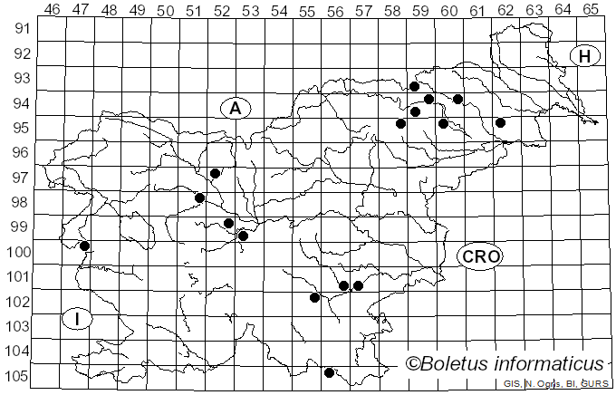 <i>Calonarius dibaphus</i> (Fr.) Niskanen & Liimat. (2022)
