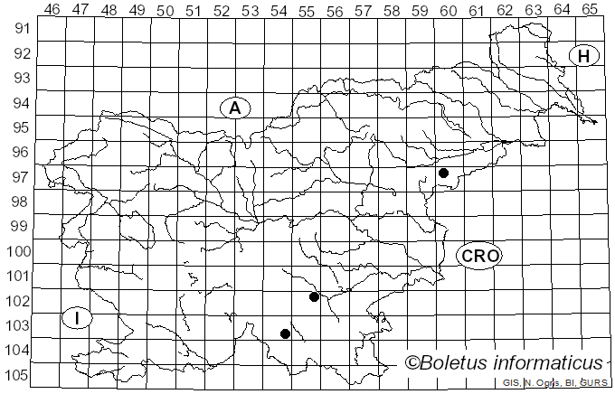 <i>Chaetoporus</i> P. Karst. (1890)