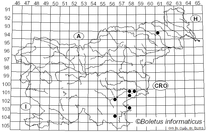 <i>Loweomyces fractipes</i> (Berk. & M.A. Curtis) Jülich (1982)
