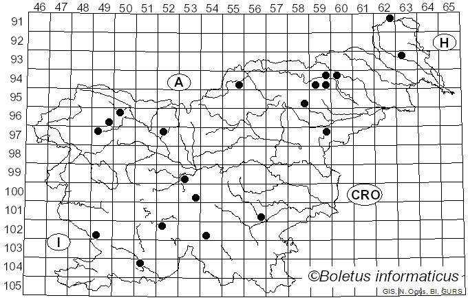 <i>Collybia tuberosa</i> (Bull.) P. Kumm. (1857)