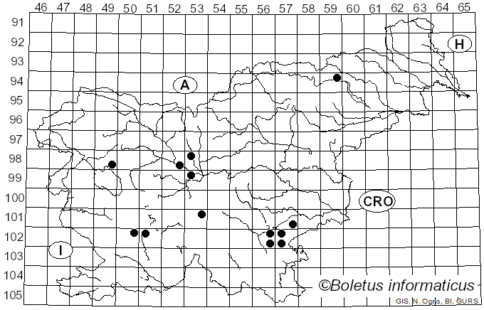 <i>Agrocybe elatella</i> (P. Karst.) Vesterh. (1989)