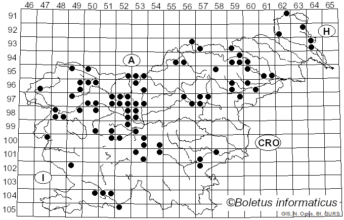 <i>Neolentinus lepideus</i> (Fr.) Redhead & Ginns (1985)