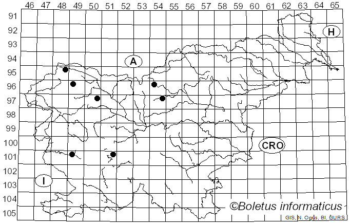 <i>Cheilosia flavipes</i> Panzer