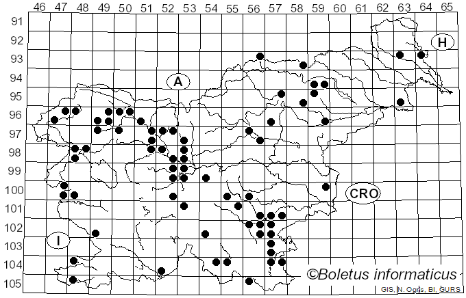 <i>Thelephora palmata</i> (Scop.) Fr. (1821)