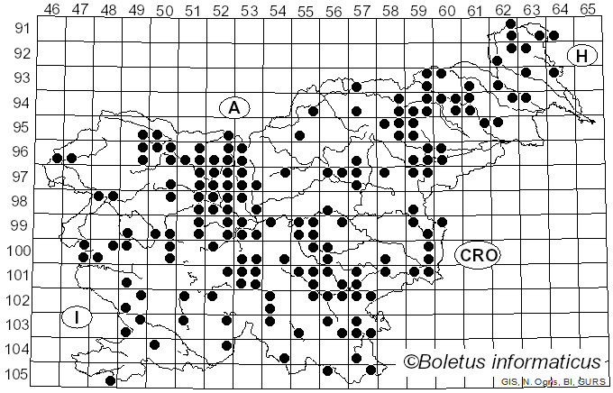 <i>Lycogala epidendrum</i> (J.C. Buxb. ex L.) Fr. (1829)