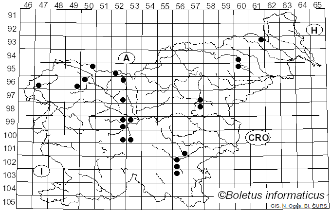 <i>Morchella elata</i> Fr. (1822)