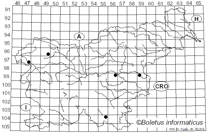 <i>Russula puellula</i> Ebbesen & Moeller (1937)