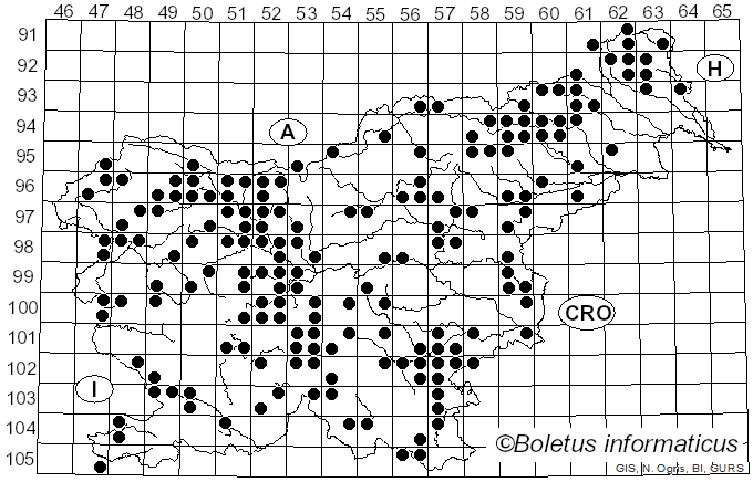 <i>Tricholoma sulphureum</i> (Bull.) P. Kumm. (1871)