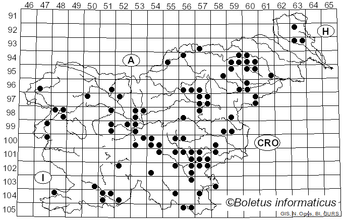 <i>Hericium cirrhatum</i> (Pers.) Nikol. (1950)