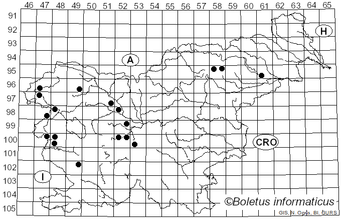 <i>Phlegmacium</i> (Fr.) Wünsche (1877)