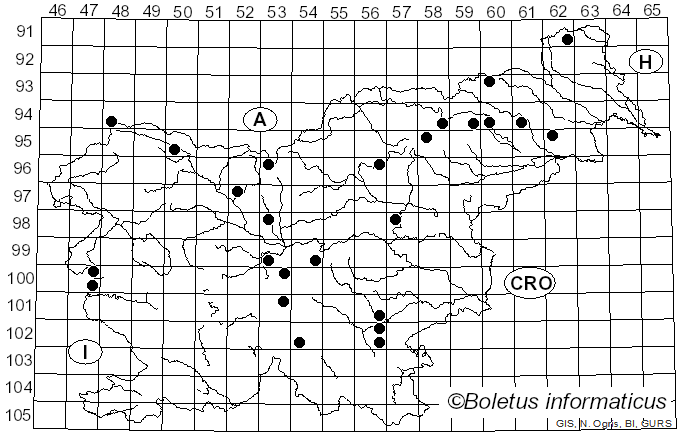 <i>Pseudosperma squamatum</i> (J.E. Lange) Matheny & Esteve-Rav. (2019)