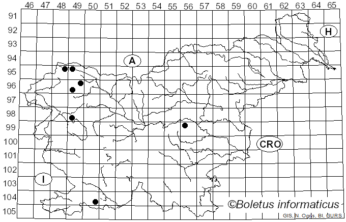 <i>Diploschistes muscorum</i> (Scop.) R. Sant. (1980)