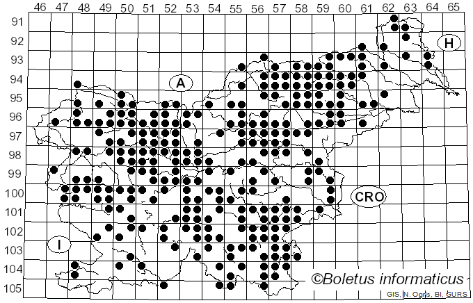 <i>Gloeophyllum odoratum</i> (Wulfen) Imazeki (1943)