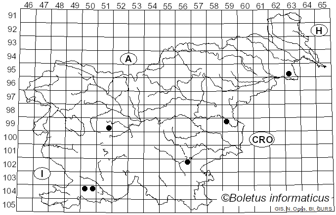 <i>Ascocoryne inflata</i> D.E. Wilson