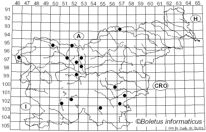 <i>Botrytis</i> P. Micheli ex Pers. (1794)