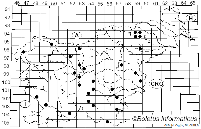 <i>Melanoleuca graminicola</i> (Velen.) Kühner & Maire (1934)