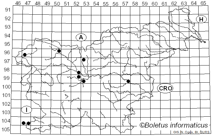<i>Puccinia porri</i> (Sowerby) G. Winter (1881)