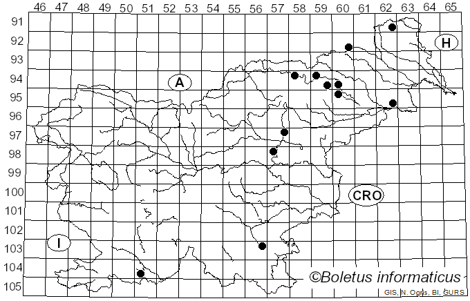 <i>Neolentinus cyathiformis</i> (Schaeff.) Della Magg. & Trassin. (2014)