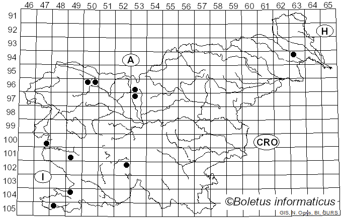 <i>Hysterographium</i> Corda (1842)