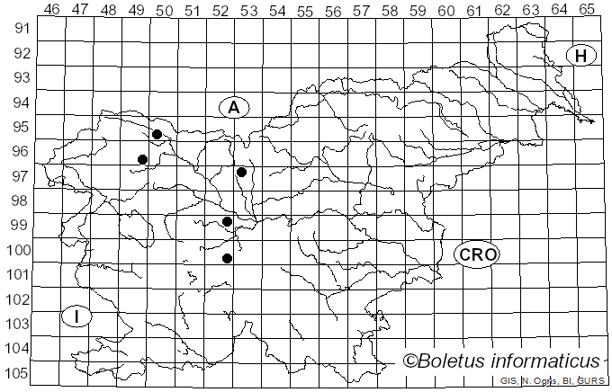 <i>Dothidella</i> Speg. (1880)