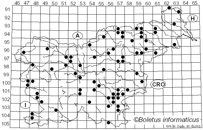 <i>Pholiota gummosa</i> (Lasch) Singer (1951)