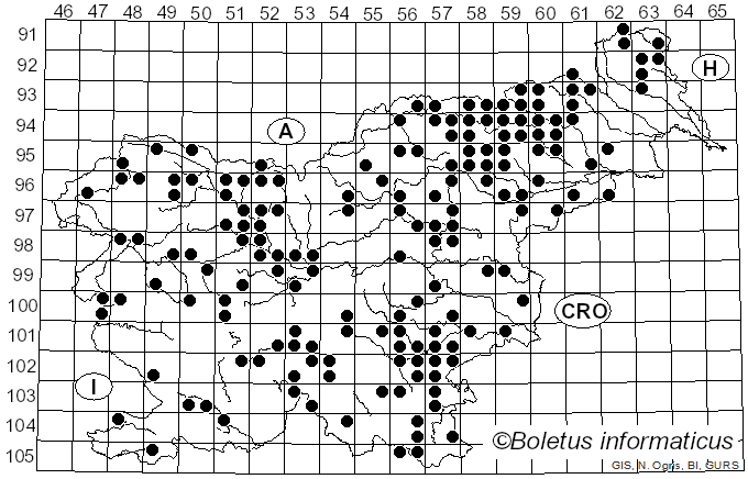 <i>Hydnellum</i> P. Karst. (1896)