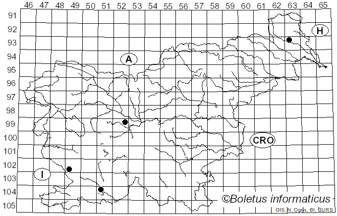 <i>Coprinus clavatus</i> Fr. (1838)