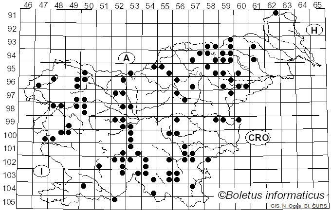 <i>Trichaptum abietinum</i> (Dicks.) Ryvarden (1972)