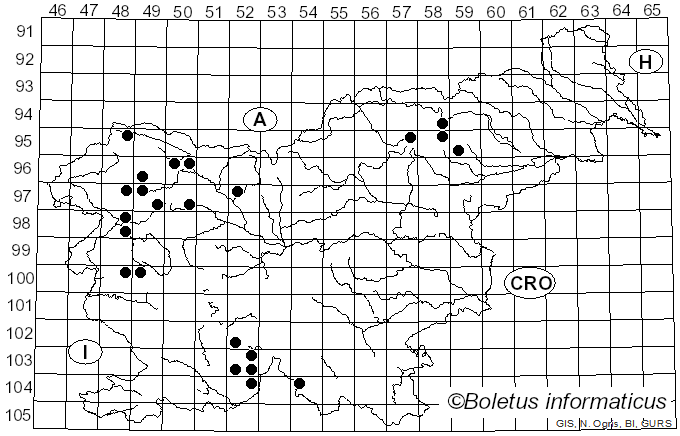 <i>Pyrenula nitida</i> (Weigel) Ach. (1814)