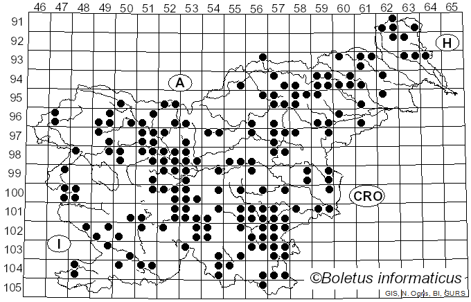 <i>Russula delica</i> Fr. (1838)