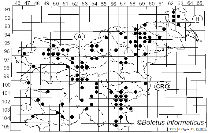 <i>Chroogomphus helveticus</i> (Singer) M.M. Moser (1967)