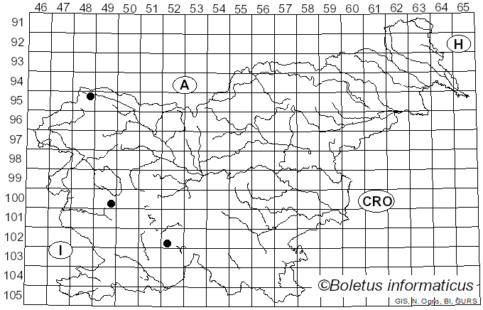 <i>Xanthoria polycarpa</i> (Hoffm.) Rieber (1891)