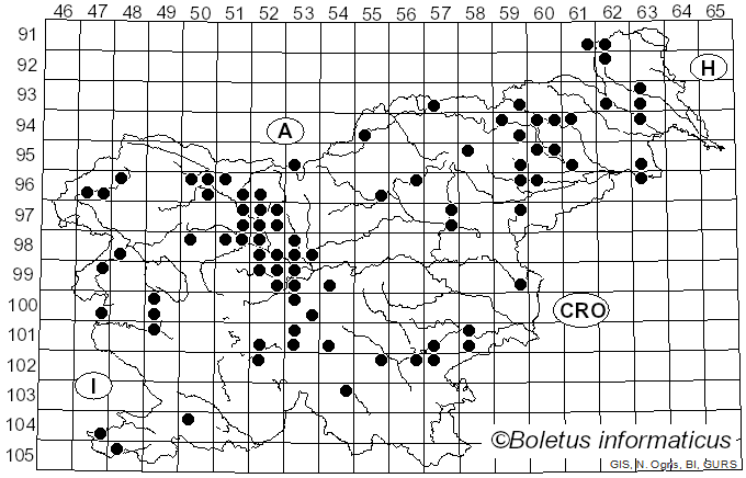 <i>Flammulina</i> P. Karst. (1891)