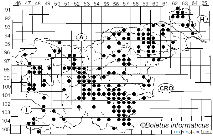 <i>Lenzites betulinus</i> (L.) Fr. (1838)
