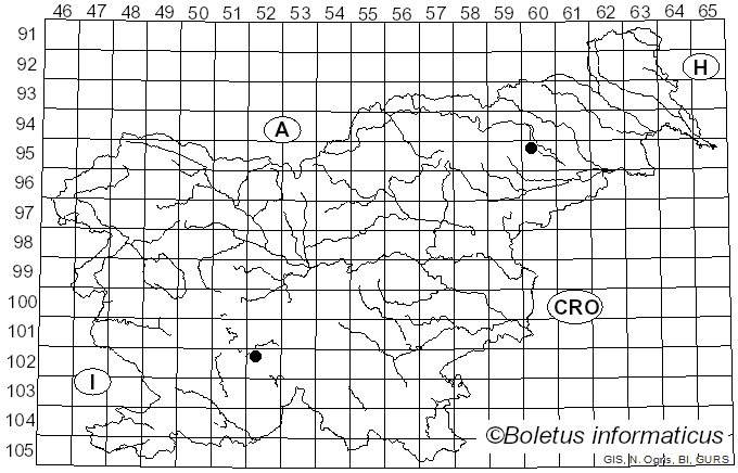 <i>Agaricus minimus</i> (Ricken) Pilát (1951)