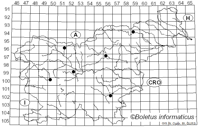 <i>Ditiola radicata</i> (Alb. & Schwein.) Fr. (1823)