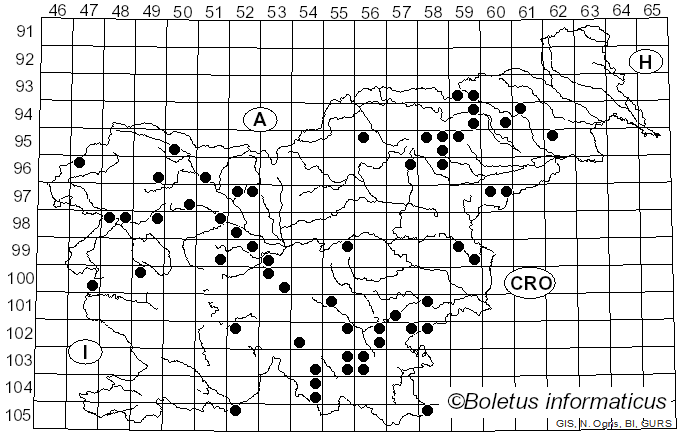 <i>Mensularia nodulosa</i> (Fr.) T. Wagner & M. Fisch. (2001)
