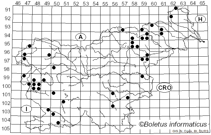 <i>Thaxterogaster</i> Singer (1951)