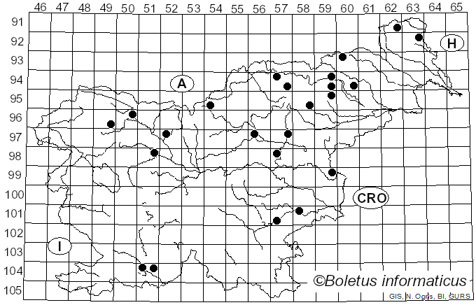 <i>Inocybe dulcamara</i> (Alb. & Schwein.) P. Kumm. (1871)
