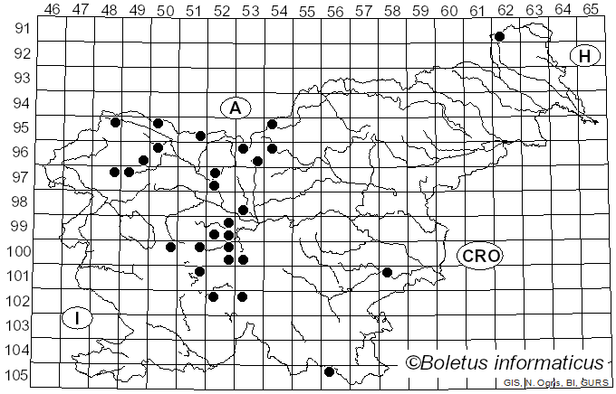 <i>Xylota</i> Meigen (1822)
