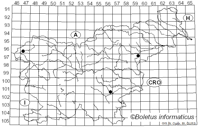 <i>Conocybe macrospora</i> (G.F. Atk.) Hauskn. (2003)